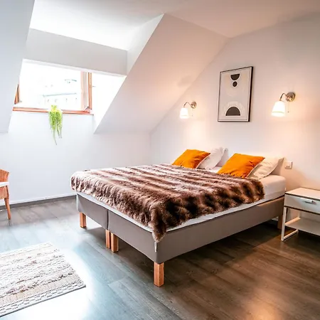 Lägenhet Superbe Renove Centre, 7-10 Pers, Animaux Admis - Fr-1-517-37 *