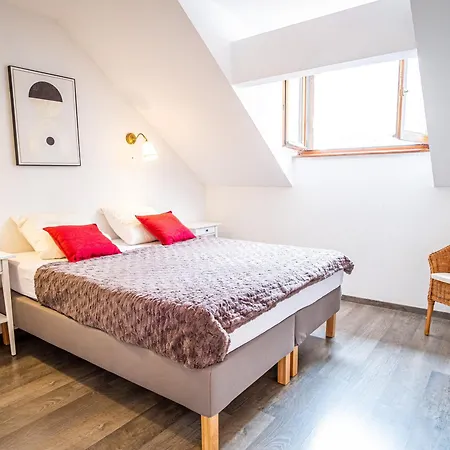 Superbe Renove Centre, 7-10 Pers, Animaux Admis - Fr-1-517-37 Apartment