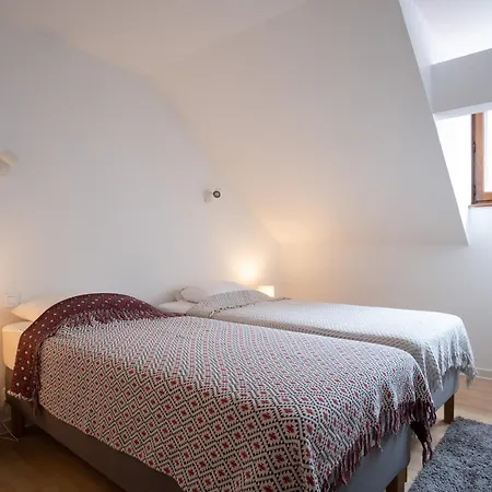 Superbe Renove Centre, 7-10 Pers, Animaux Admis - Fr-1-517-37 Apartment *